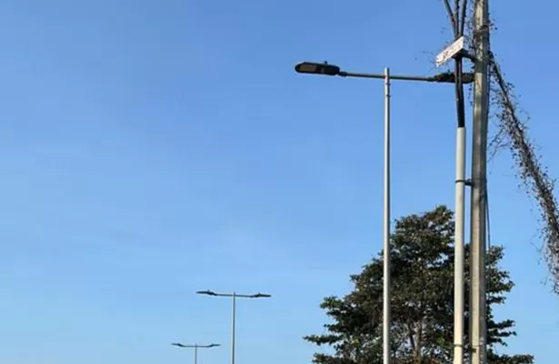 Caso de asociación de marca a largo plazo | Cooperación estratégica ODM / OEM en iluminación fotovoltaica inteligente